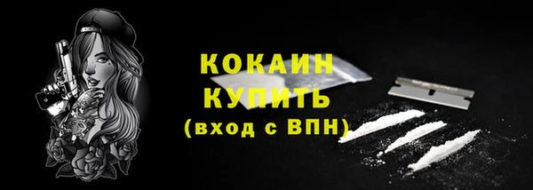 дживик Пересвет