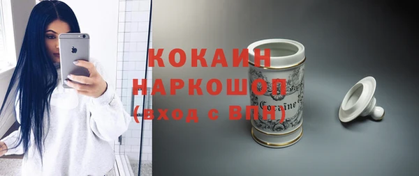 дживик Пересвет