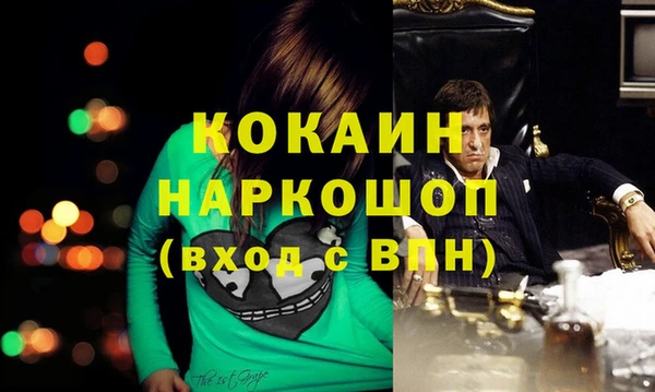 дживик Пересвет
