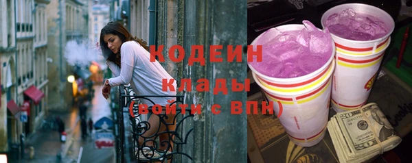 дживик Пересвет