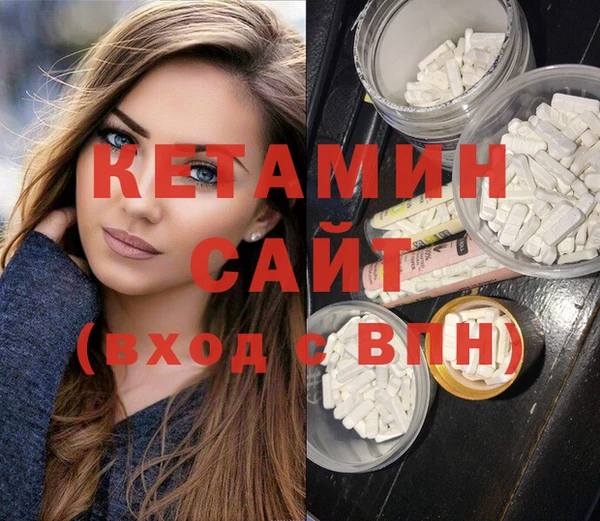 дживик Пересвет